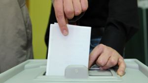 Gemeinderat: AfD  will mehr Abstimmungen bei kommunalen Konzepten