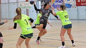 Handball: Wenig Ertrag für   Lok Meiningen